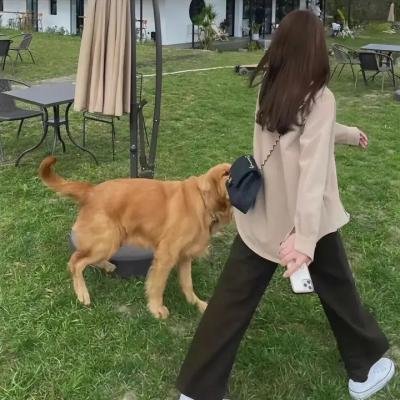 小樱桃