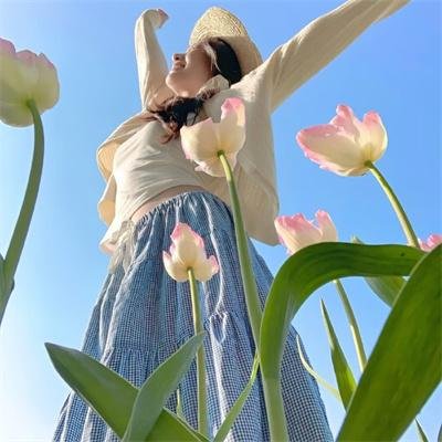 格桑花开的时候