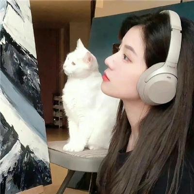 两个阿拉伯骑士